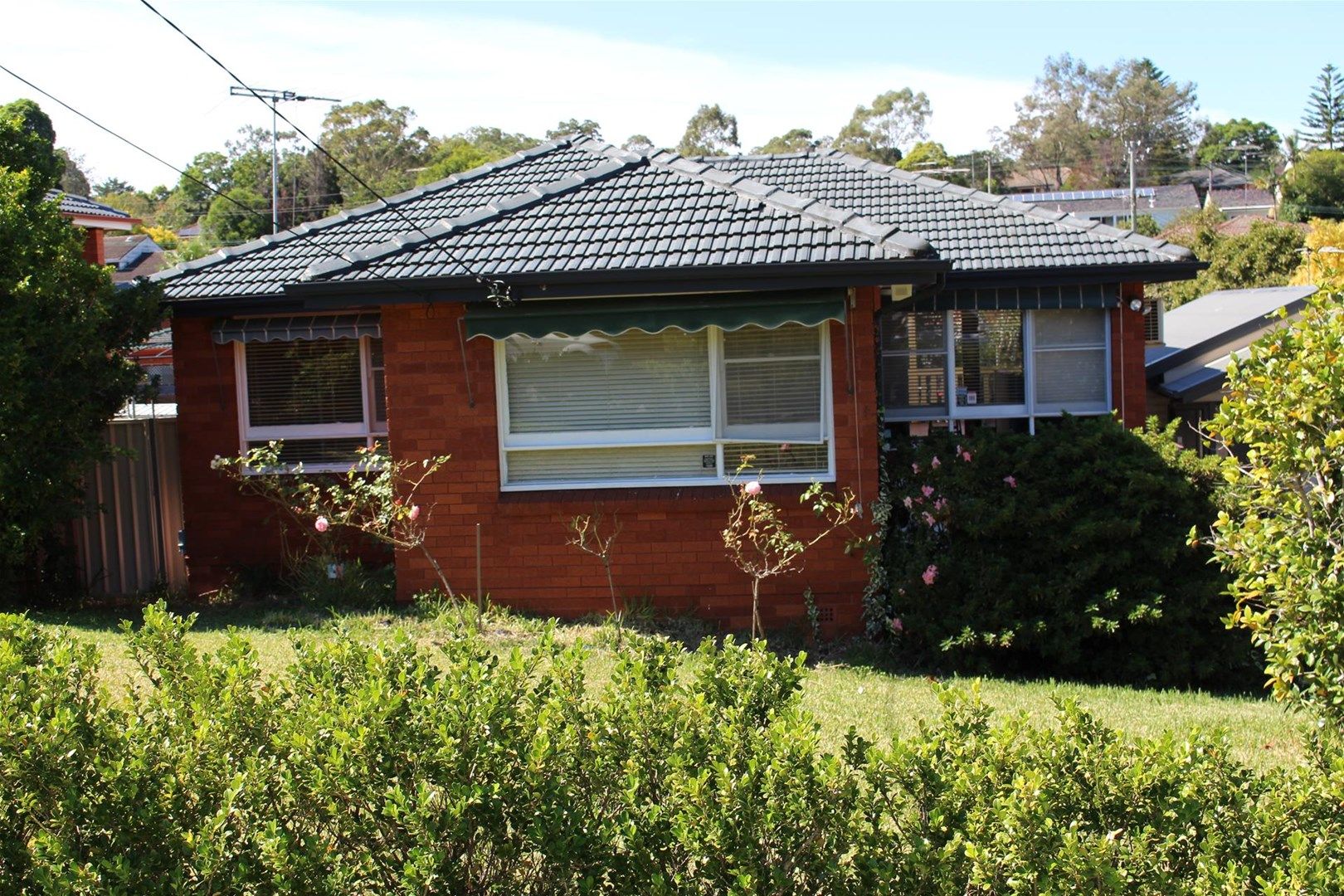 23 Lynden Avenue, Carlingford Property History & Address Research Domain