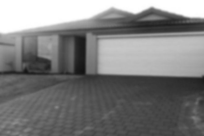 Picture of 79 Cheltenham Loop, BERTRAM WA 6167