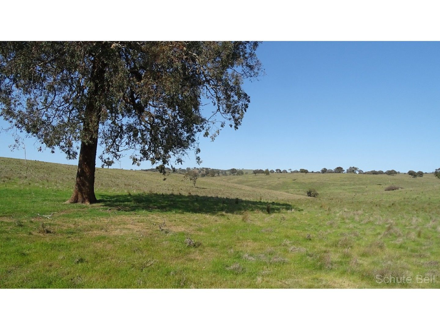 Red Hill Road, Limekilns NSW 2795 House for Sale 2,500,000