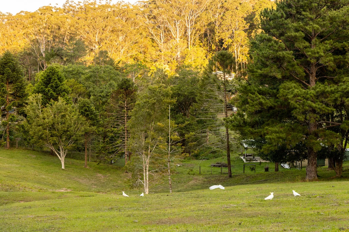 Additional image 28 of 79 Isambert Road, Glenview QLD 4553