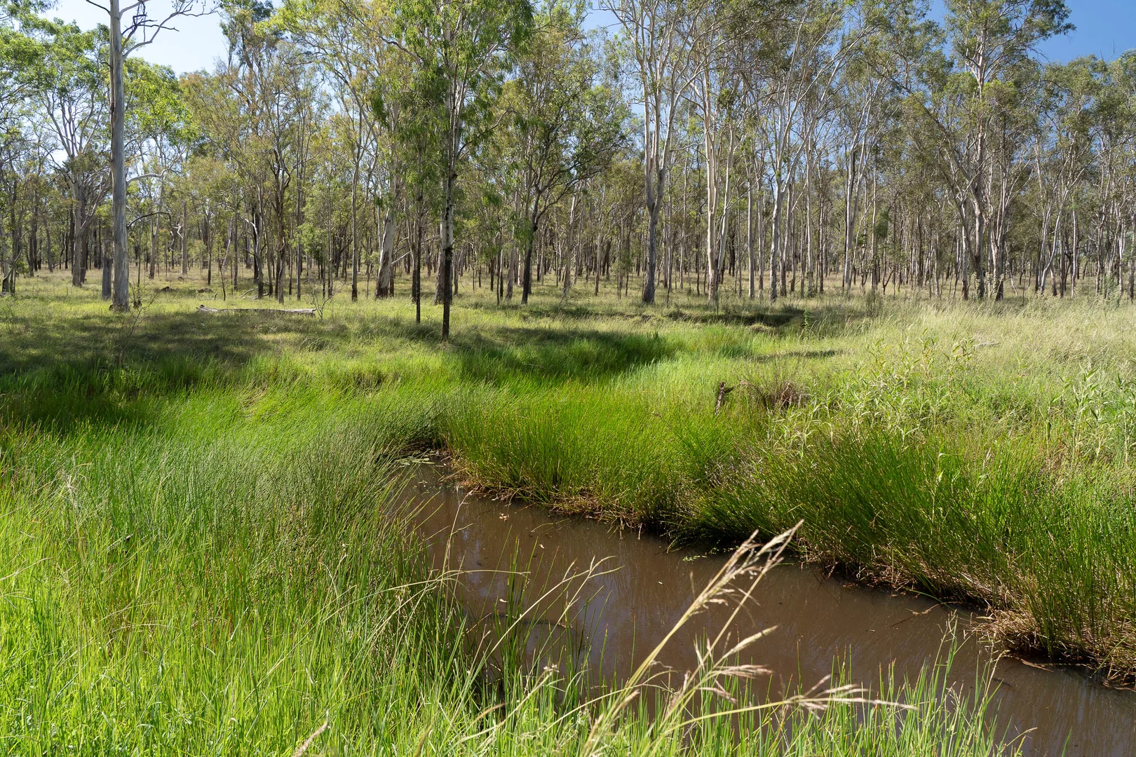 Additional image 7 of Lot 65 Cunningham Highway, Mutdapilly QLD 4307