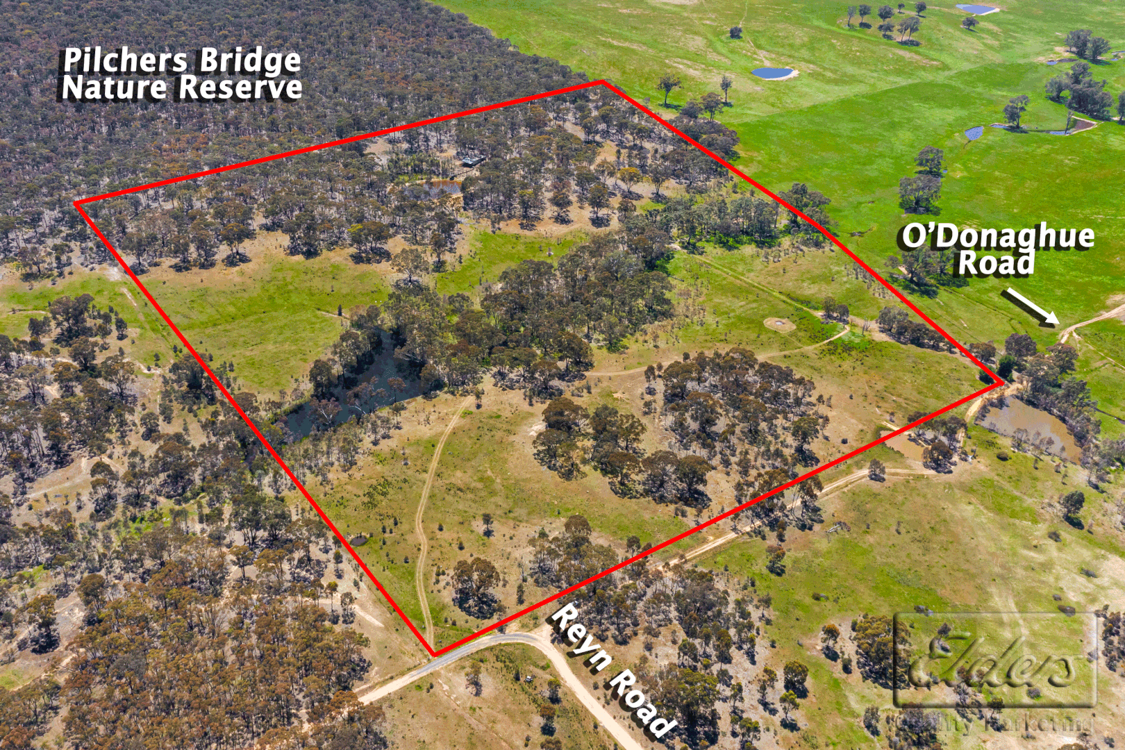 55 Acres Reyn Road, Sedgwick VIC 3551, Image 1