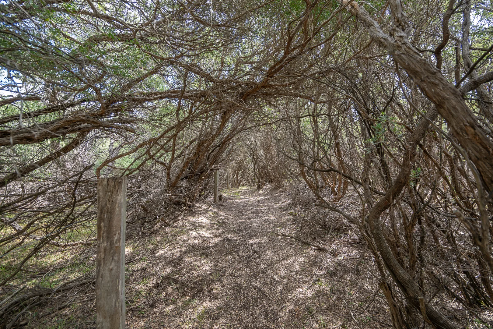 Image 12