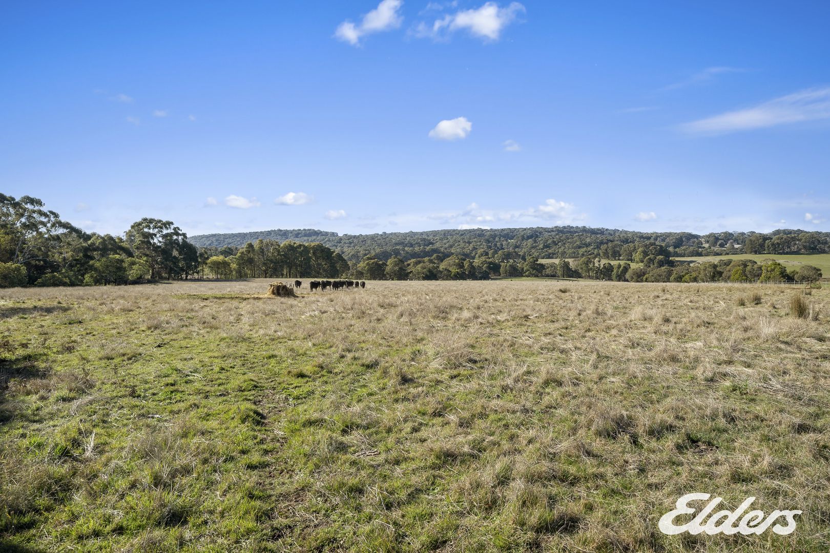 Bonnie Doon Road, Boho South VIC 3669, Image 1