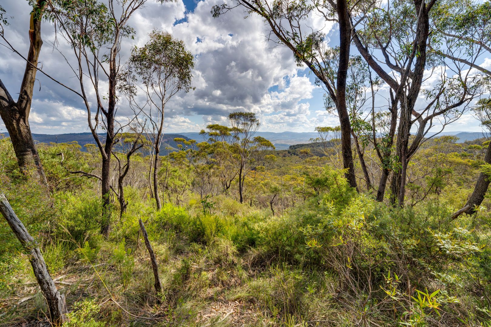 47-53 Ada Road, Blackheath NSW 2785, Image 1