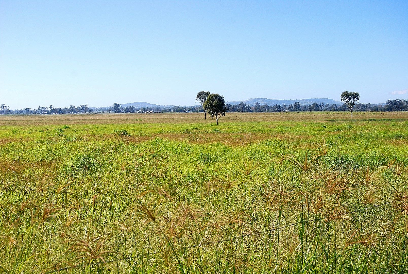 212 Vineyard Street, Coominya QLD 4311, Image 1