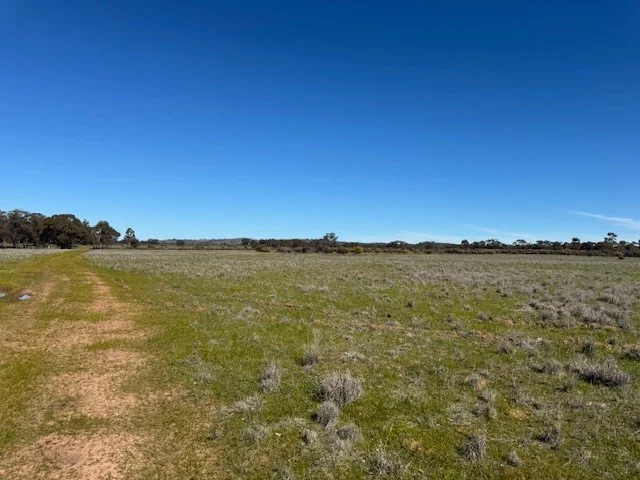 Image 13