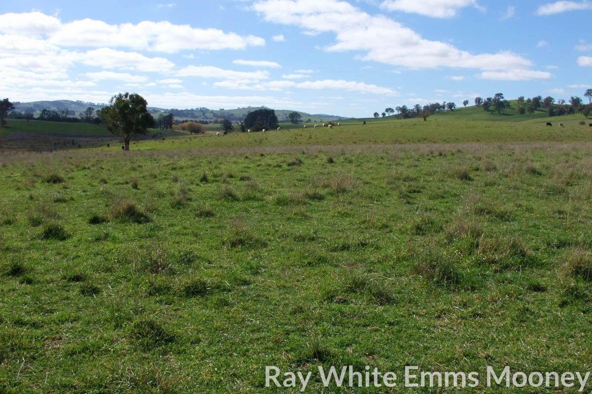 Barry Road, Blayney NSW 2799, Image 1