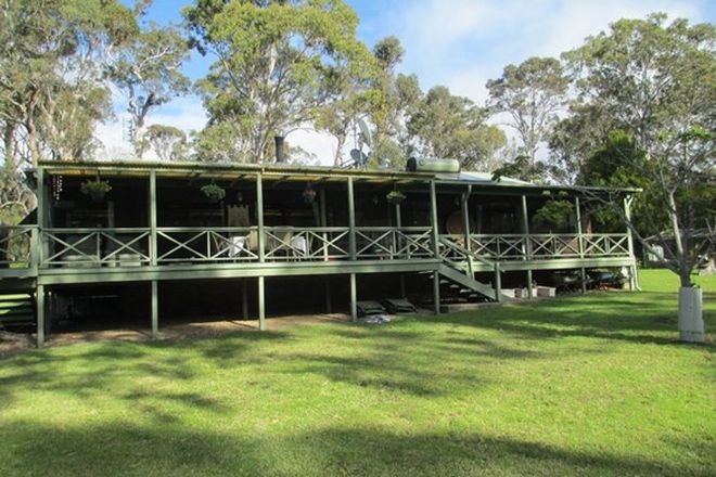 Picture of 51 Ross Place, BINGIE NSW 2537