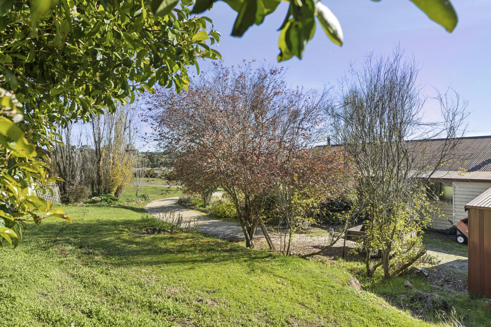 Image 15