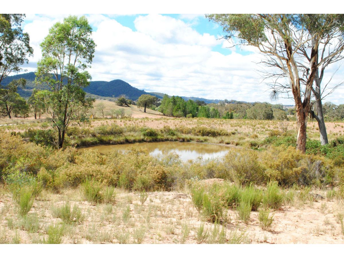 201 Dry Creek Road, Lower Lewis Ponds NSW 2800, Image 1