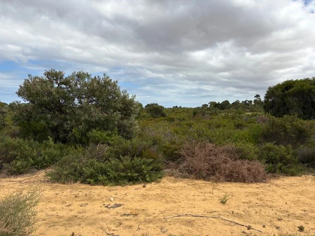 Primary image of 137 Paperbark Avenue, Gabbadah WA 6041