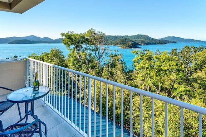 55 3 Bedroom Apartments For Sale In Hamilton Island Qld 4803 Domain