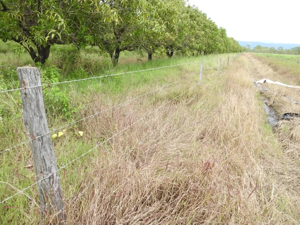 Additional image 36 of 3 Comiskey Road, Giru QLD 4809