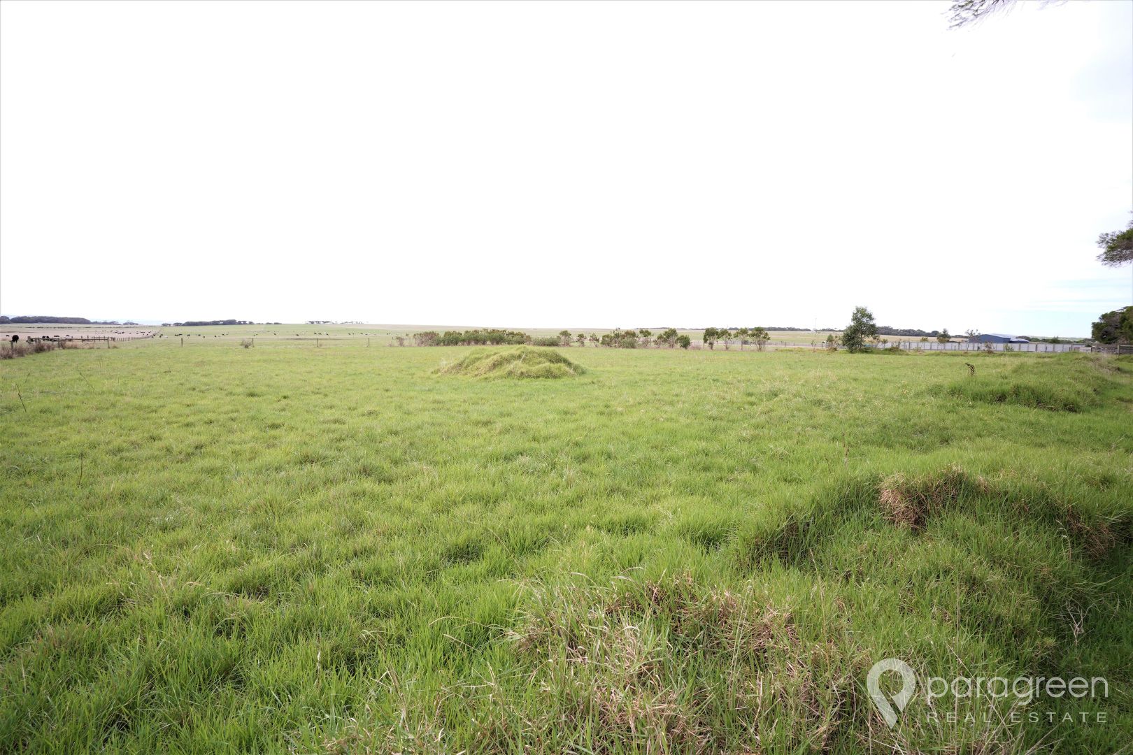 3585 Meeniyan-Promontory Road, Yanakie VIC 3960, Image 2