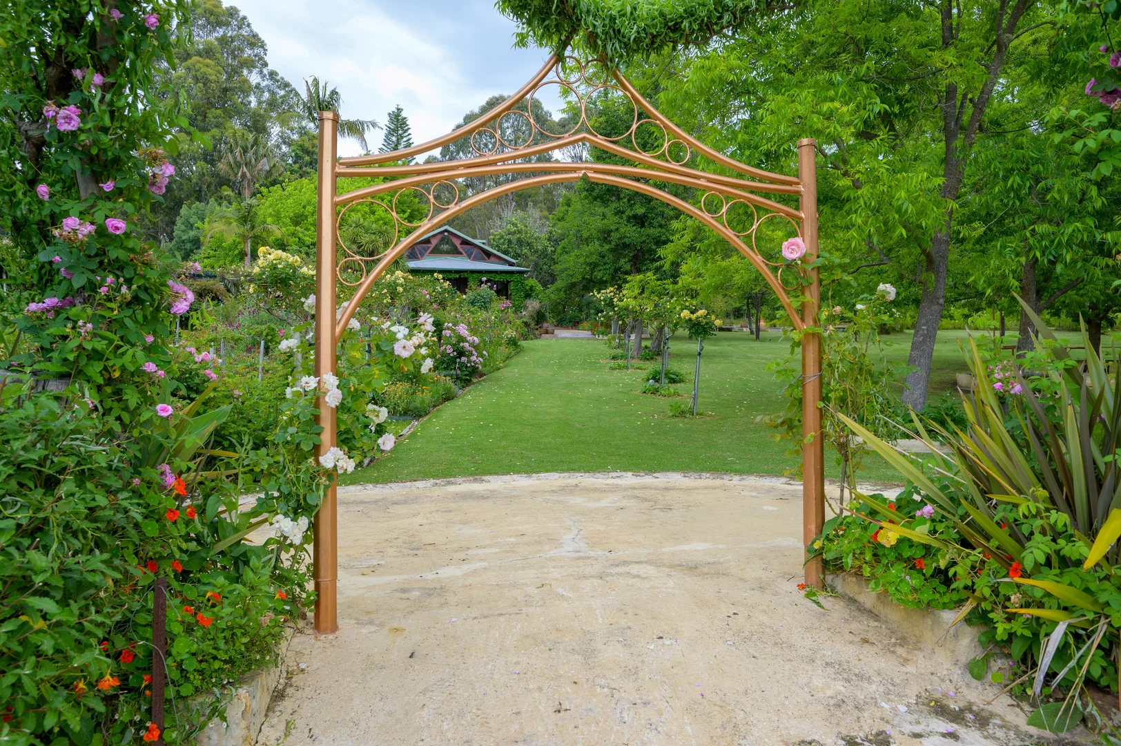 Image 10