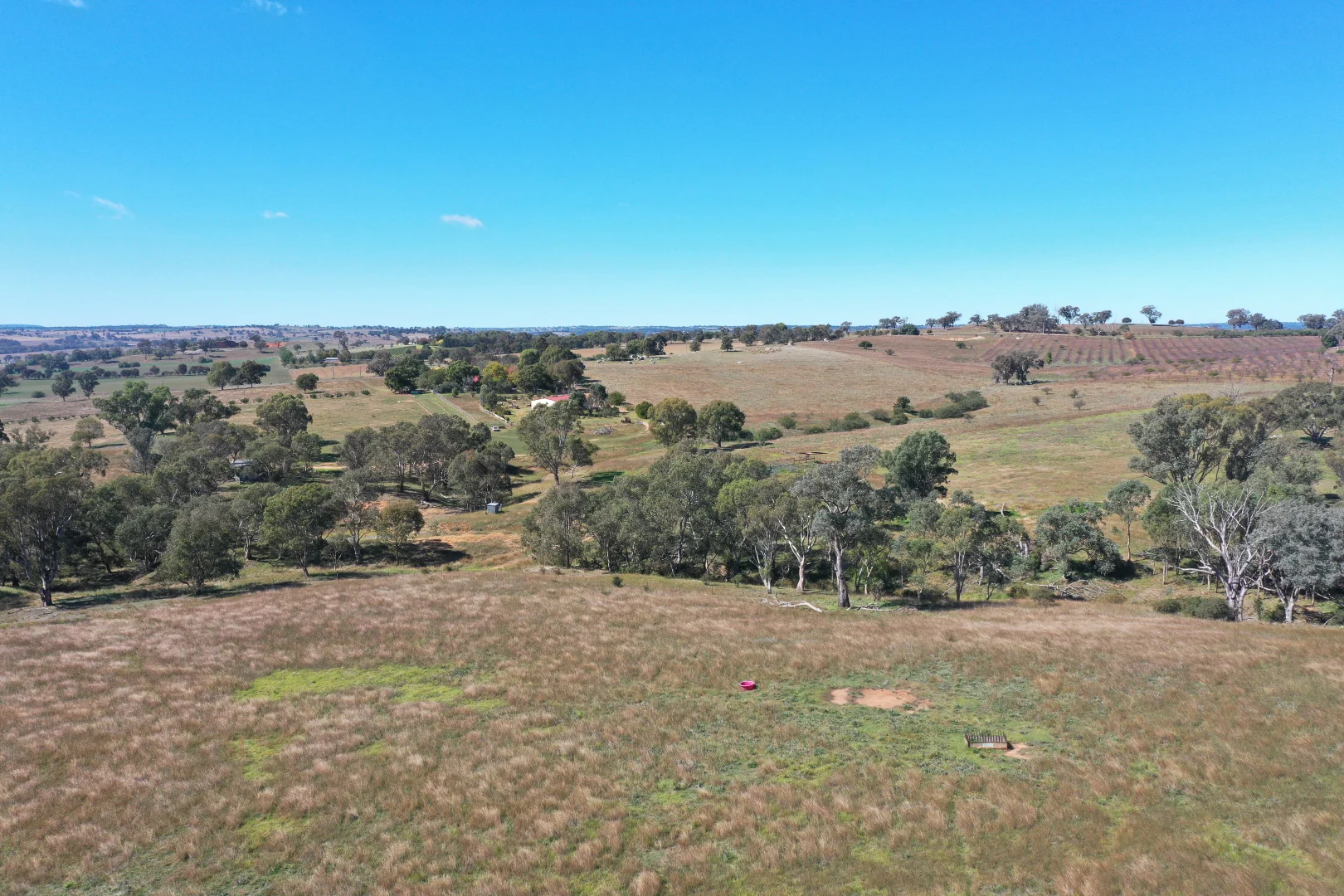 Additional image 19 of 216 Good Friday Gully Road Maimuru via, Young NSW 2594