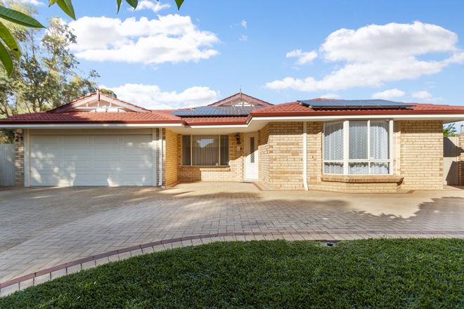 Picture of 21 Jubaea Court, CANNING VALE WA 6155