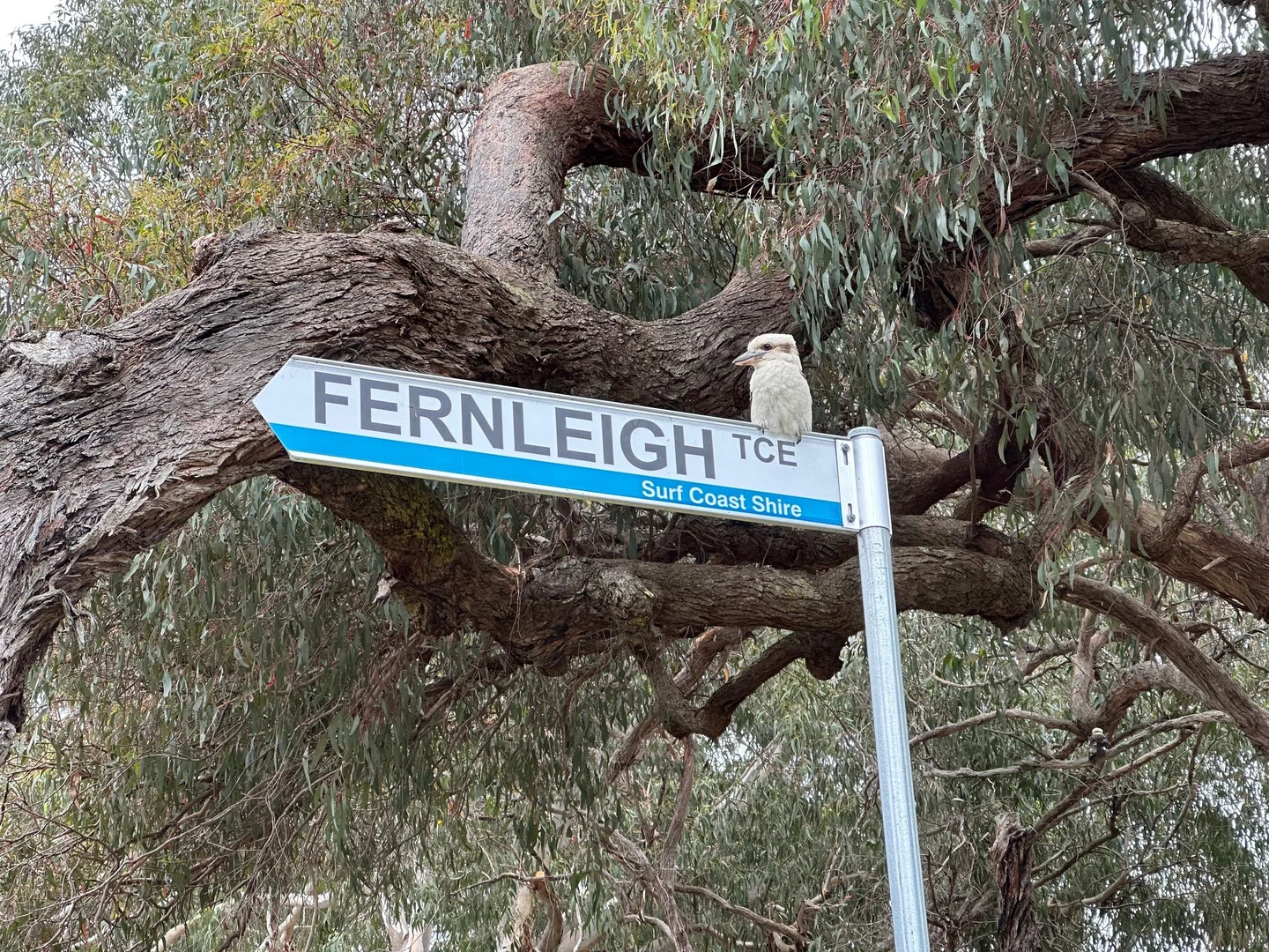 Additional image 14 of 15 Fernleigh Terrace, Lorne VIC 3232