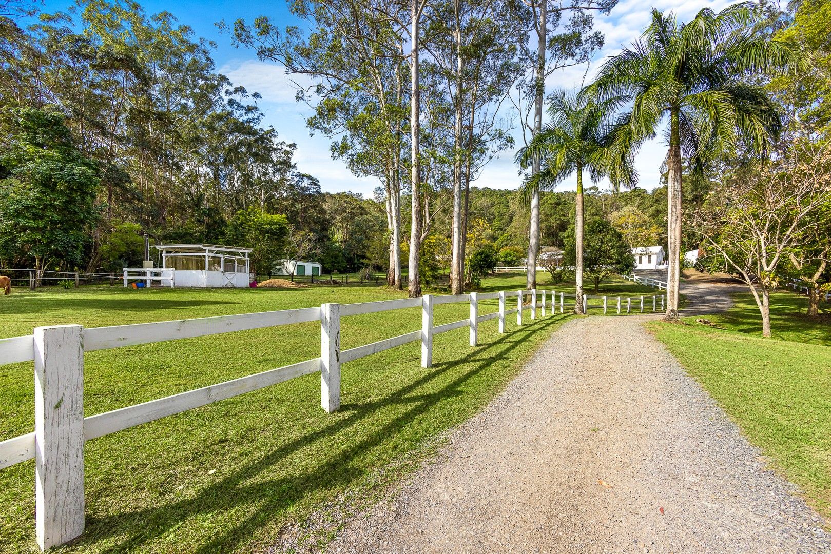 24 Evans Grove Road, Glenview QLD 4553, Image 0