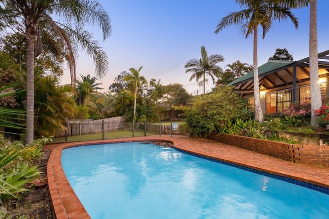 Picture of 50 Limosa Street, BELLBOWRIE QLD 4070