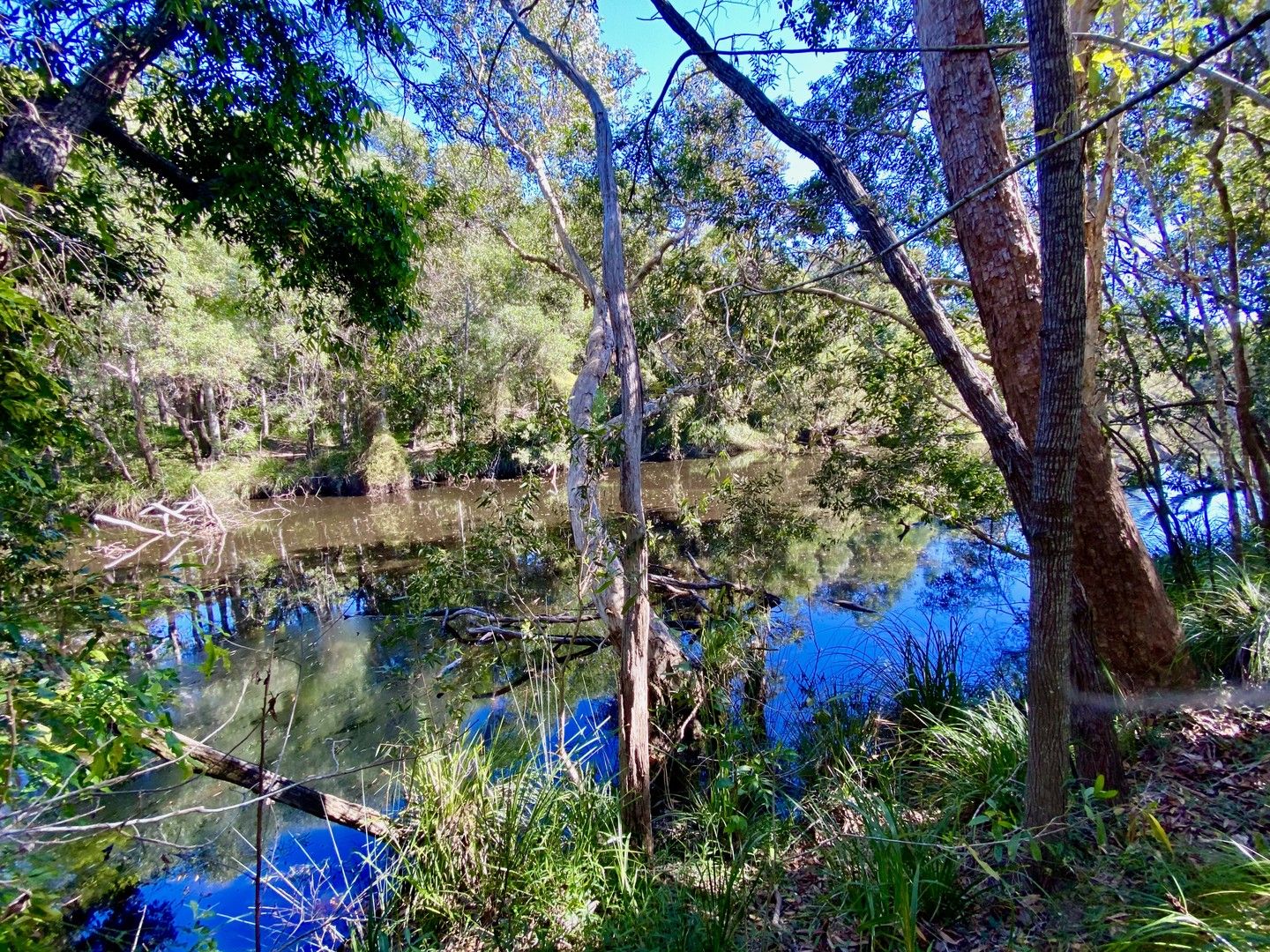 Dillon Road, Captain Creek QLD 4677, Image 0