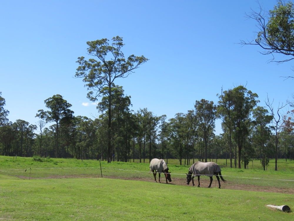 37 Raymonds Lane, Frederickton NSW 2440, Image 1