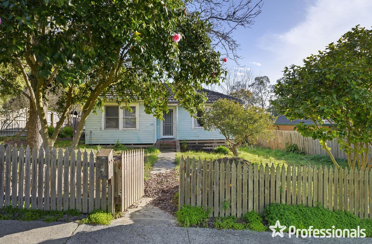 20 Patricia Avenue, Montrose VIC 3765, Image 2