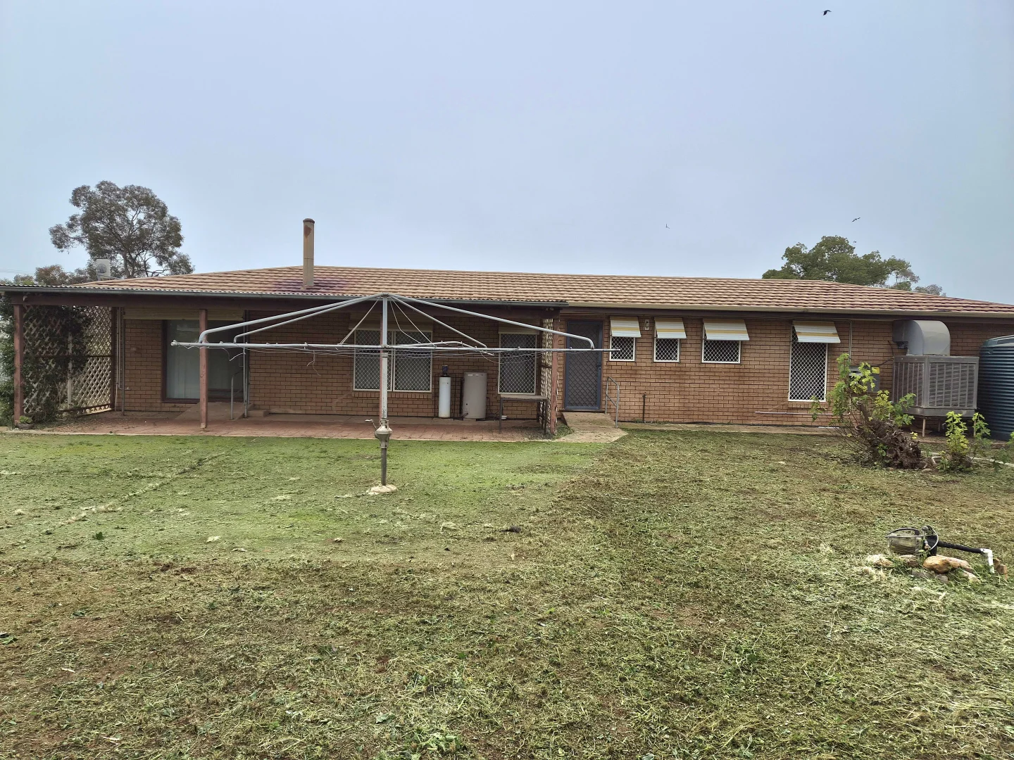 Image 14