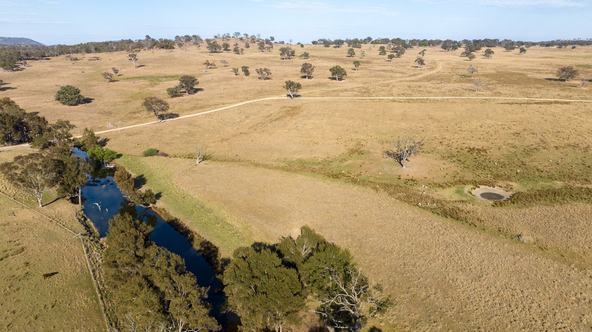 3158 Baldersleigh Road, Guyra NSW 2365 Farm for Sale 1,600,000