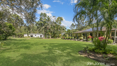 Picture of 5 Duckwood Court, ELIMBAH QLD 4516