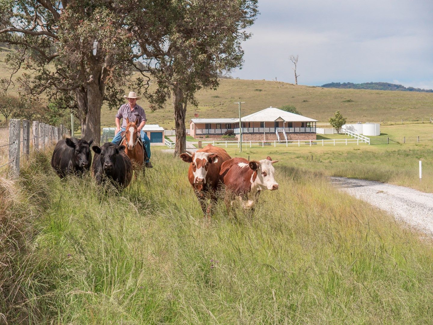 Tenterfield NSW 2372, Image 0