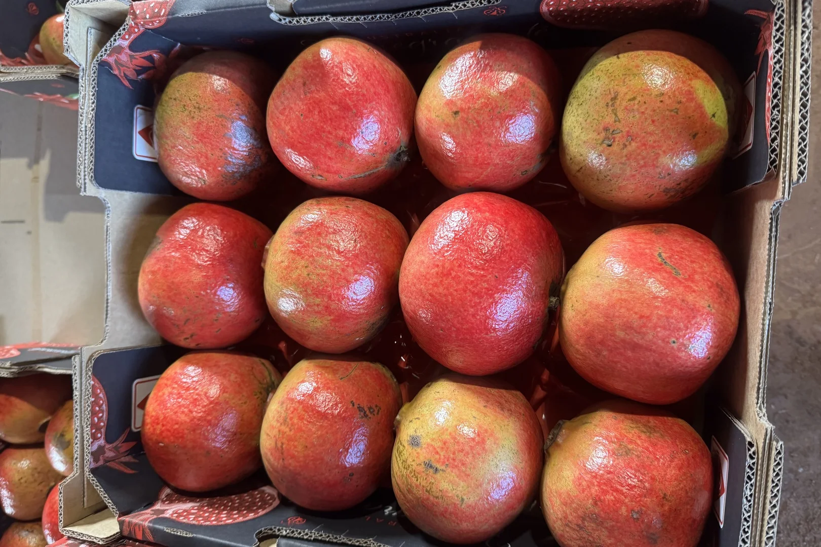 Additional image 23 of 440 Chewko Road, Mareeba QLD 4880