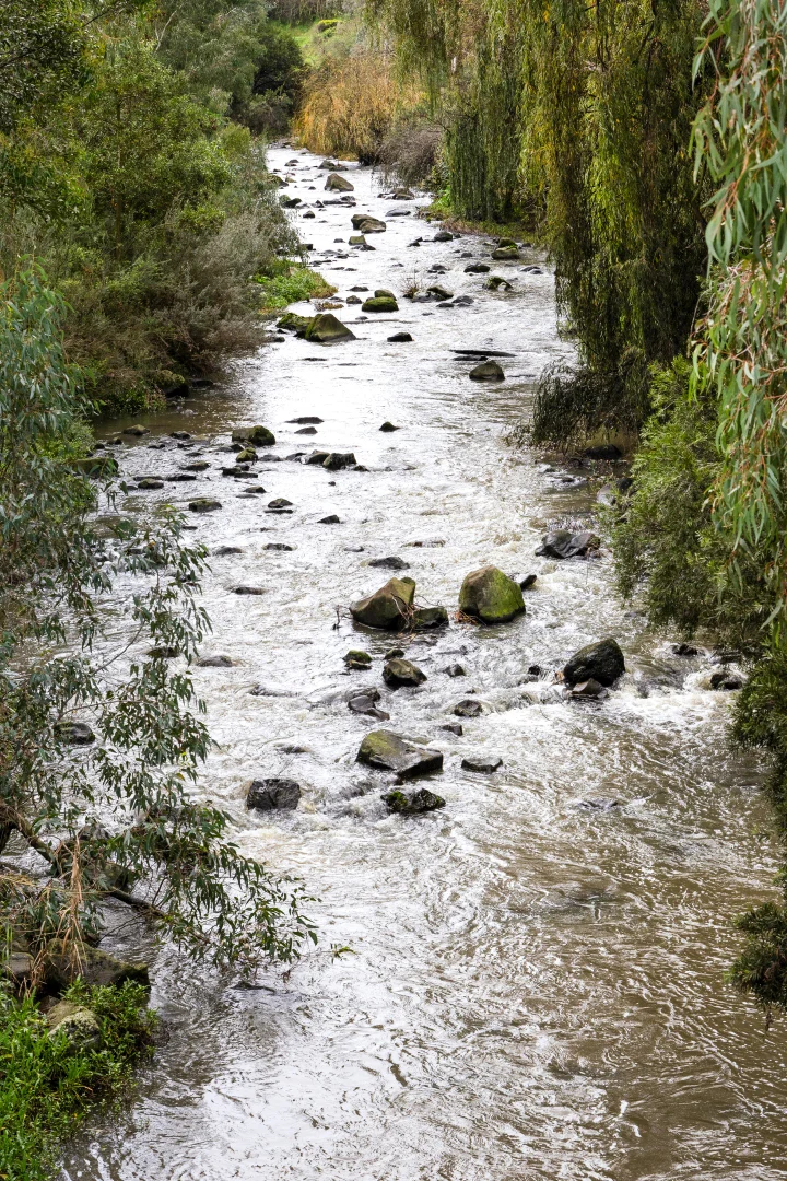 Image 22