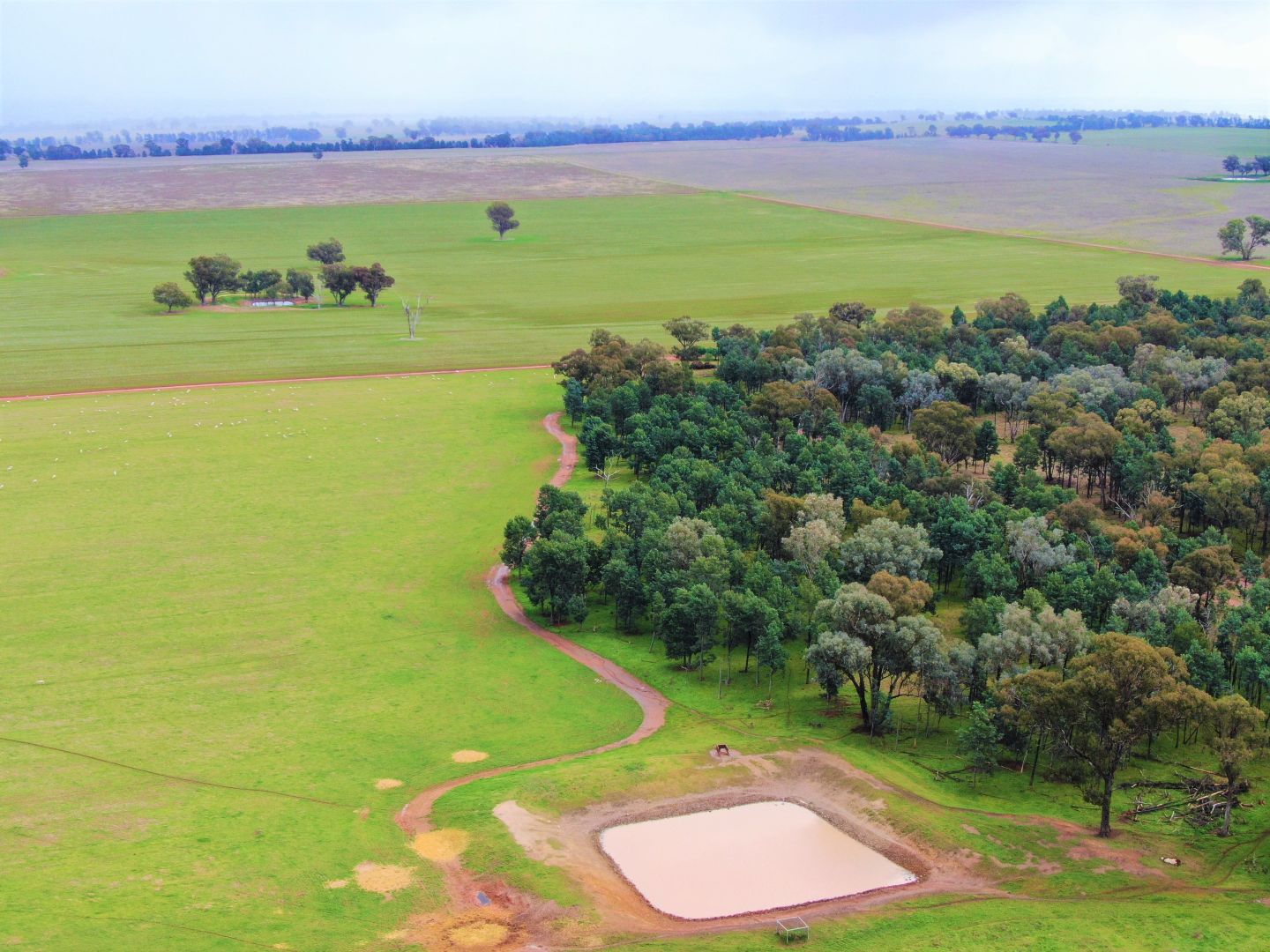 2648 Old Narrandera Road, Currawarna NSW 2650, Image 2