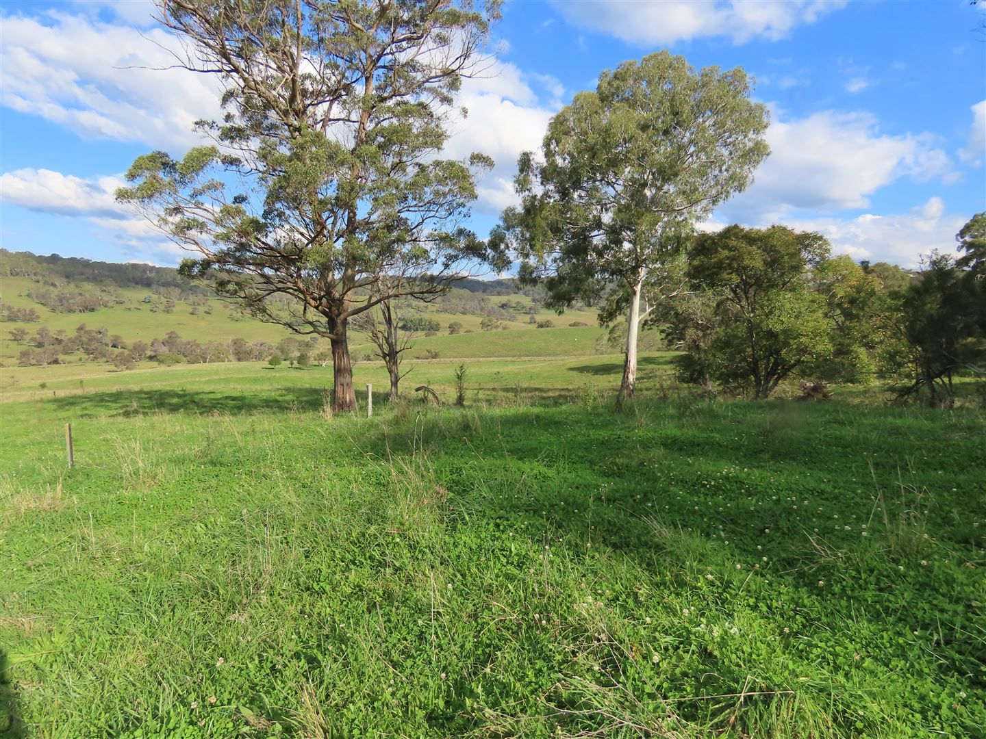 Buckandor/572 Tablelands Road, Red Range NSW 2370, Image 0