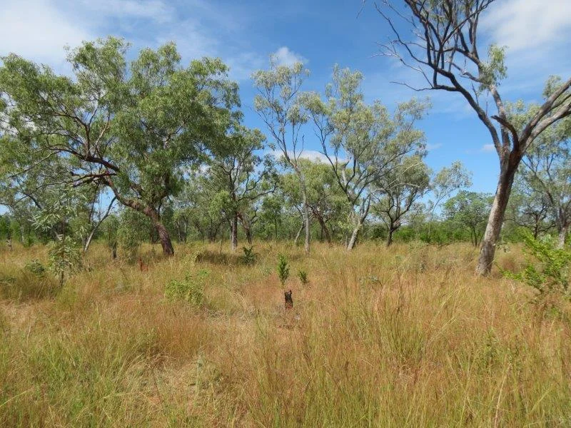 Image 30