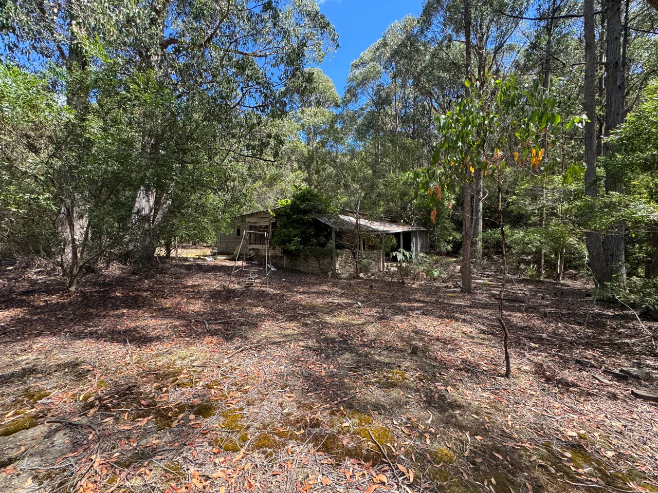 Image 13