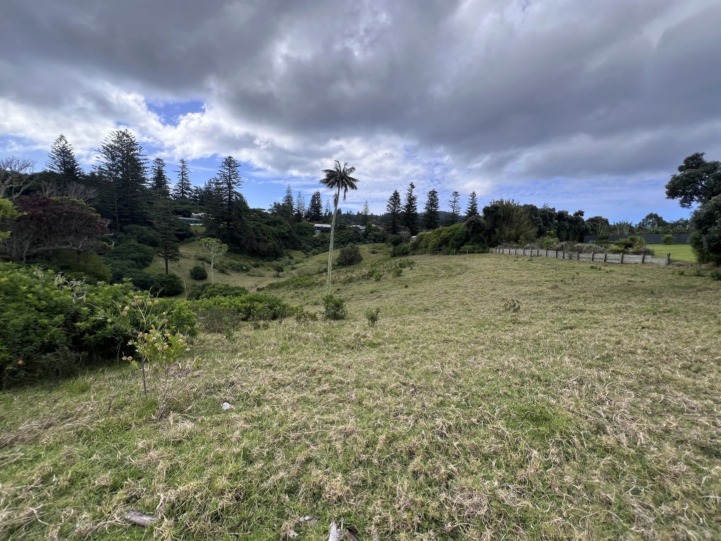 Ferny Lane, Norfolk Island NSW 2899, Image 2