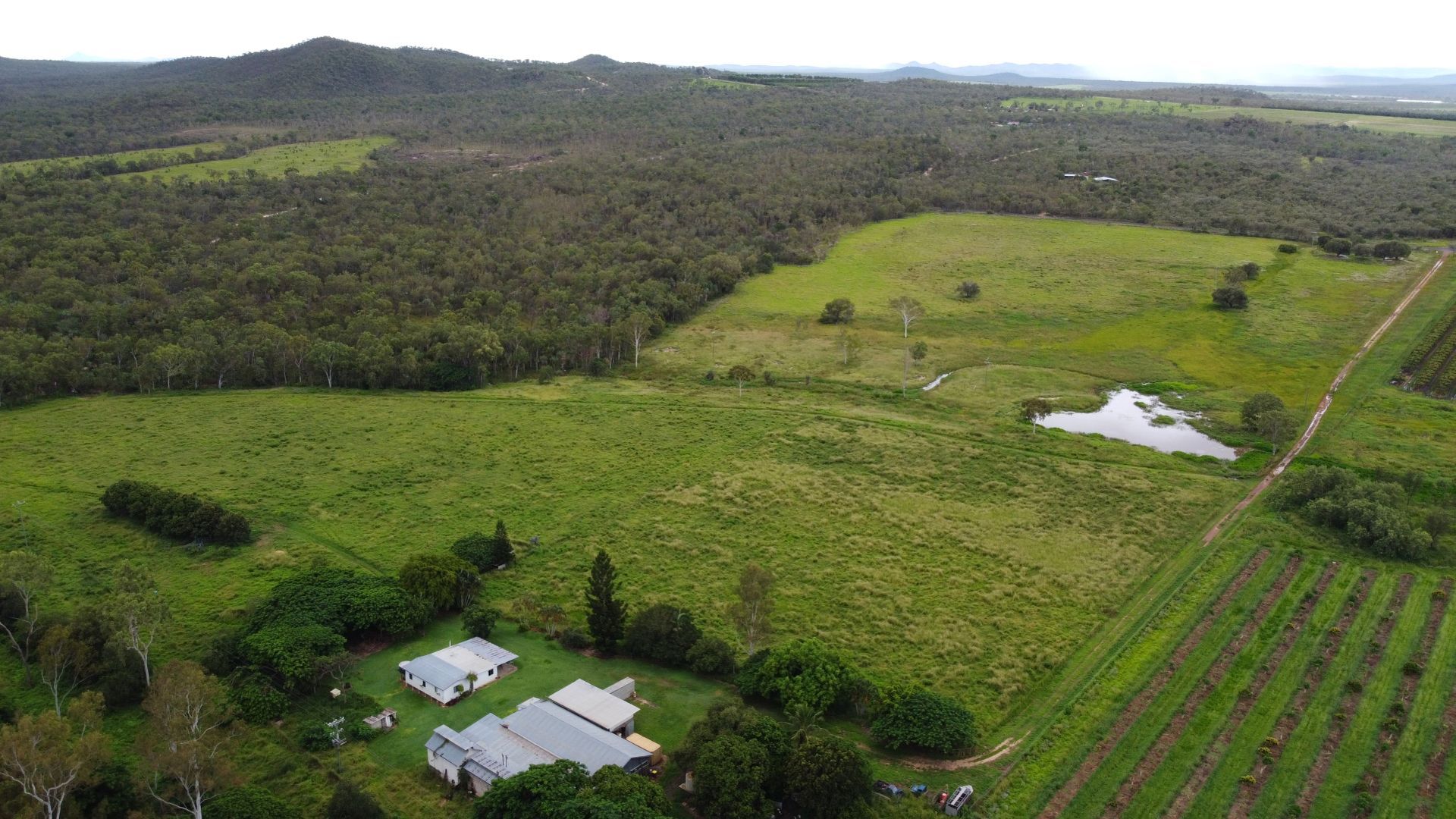 533 Wolfram Road, Dimbulah QLD 4872, Image 0