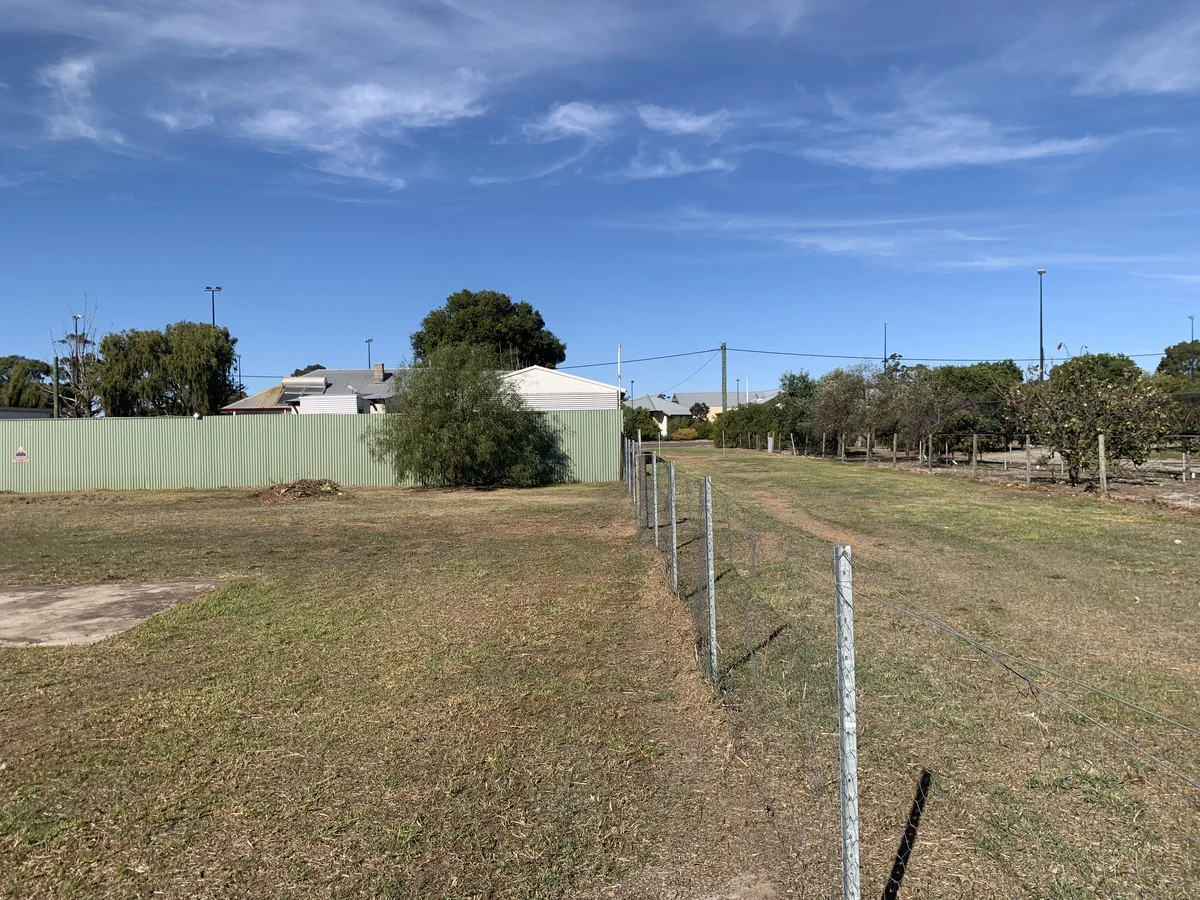 Image 33