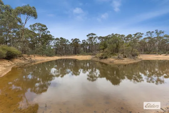 18 Higgins Hill Drive, Maiden Gully VIC 3551 - Vacant Land for Sale
