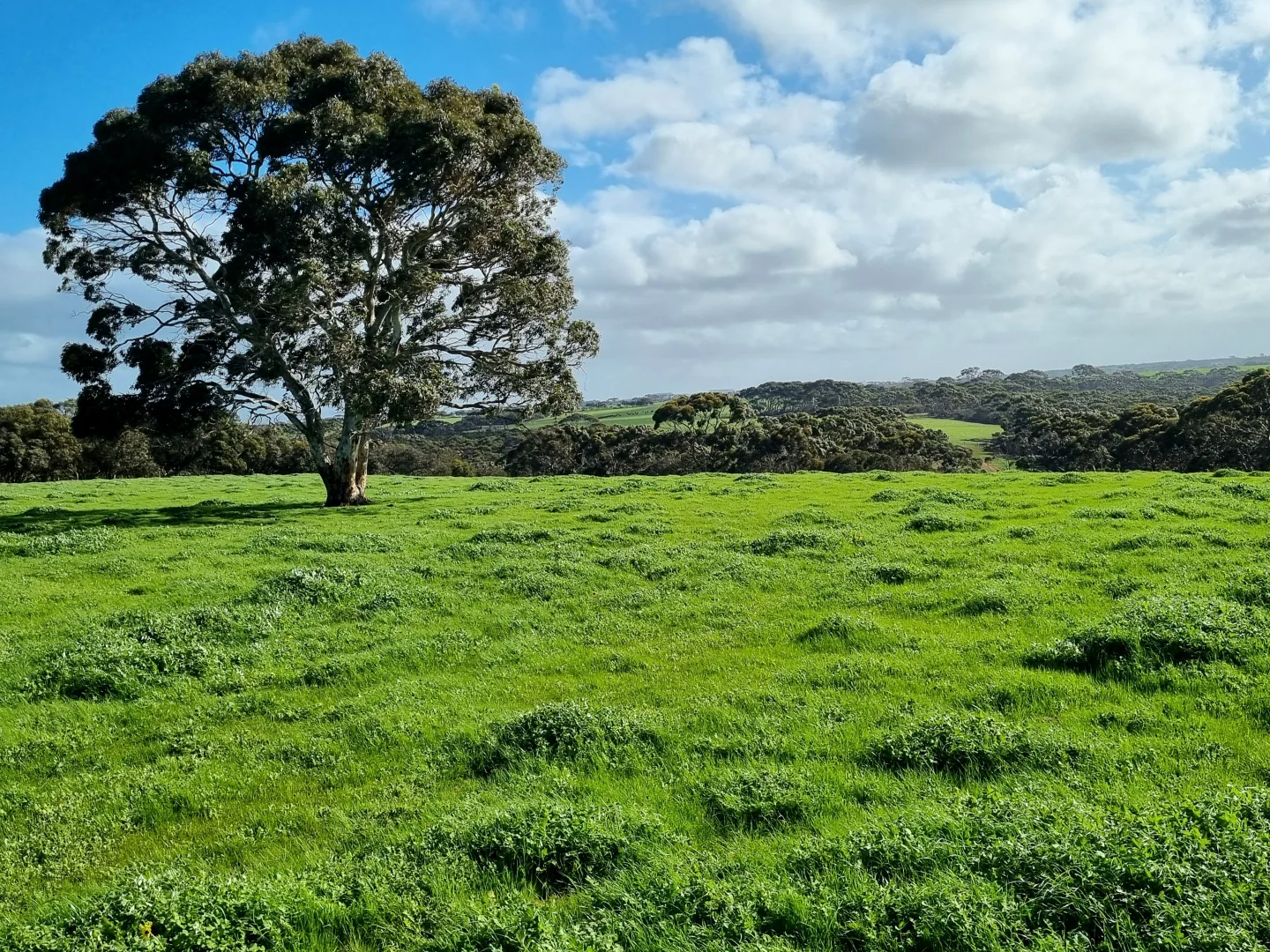 Image 13