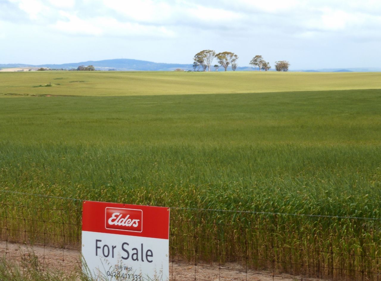 Lot 801 Grass Valley South Road, Grass Valley WA 6403 House for Sale