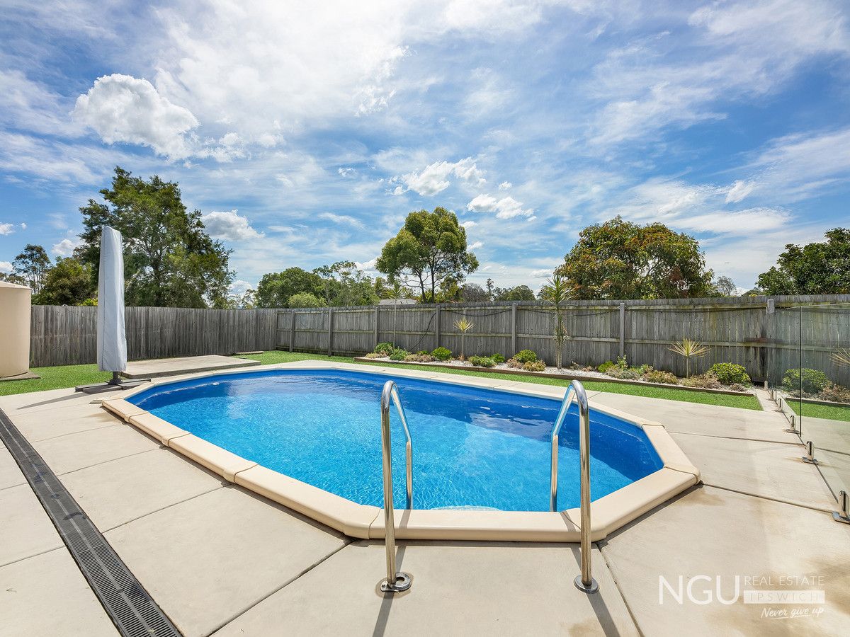 36 Ronayne Circle, One Mile QLD 4305, Image 1