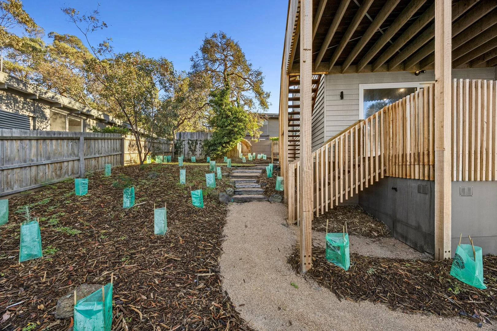 Image 15