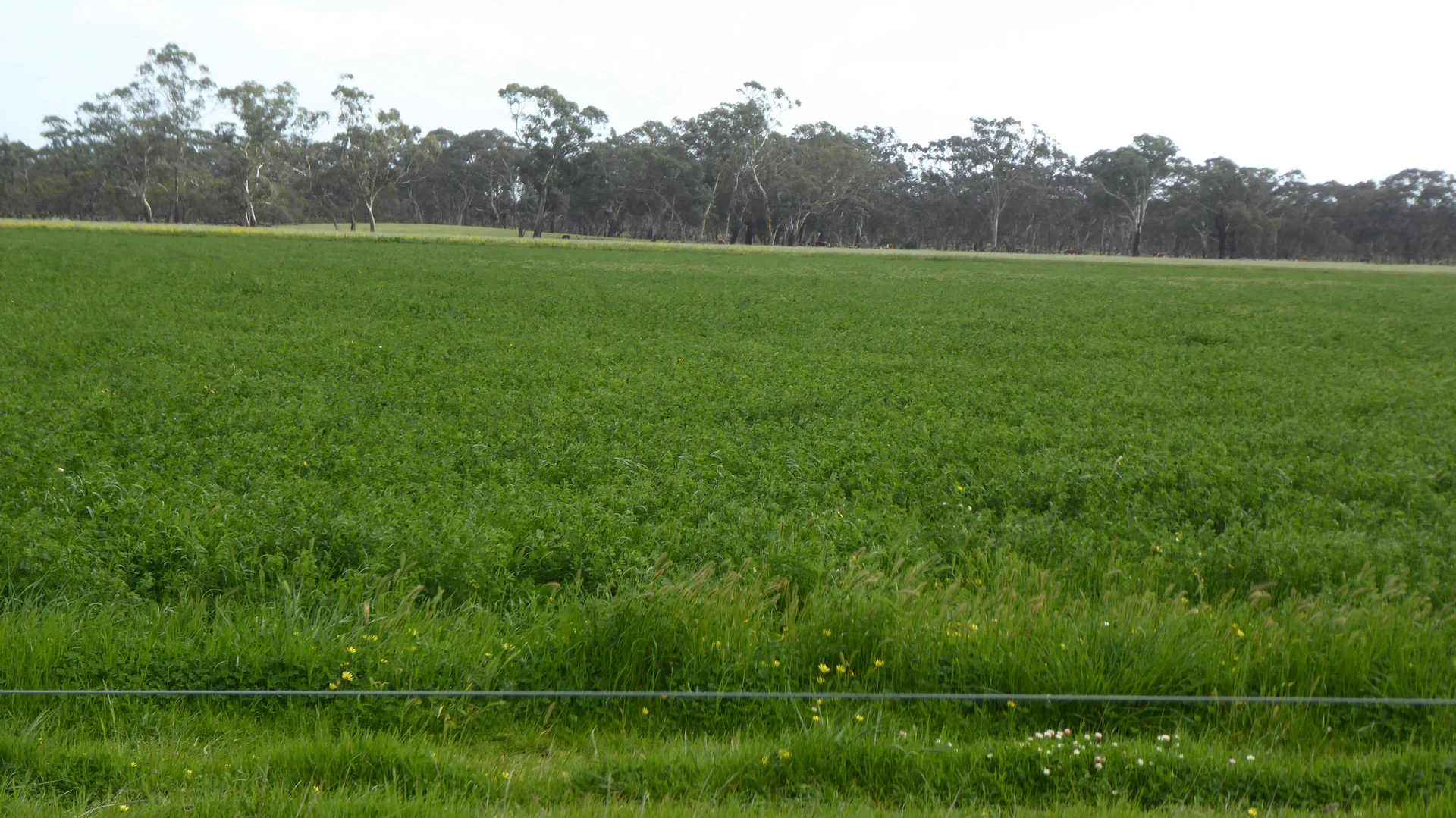 Image 20