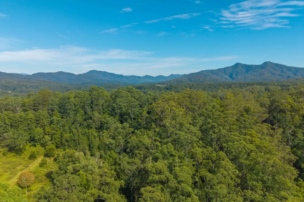 Additional image 23 of 728 Misssabotti Road, Missabotti NSW 2449