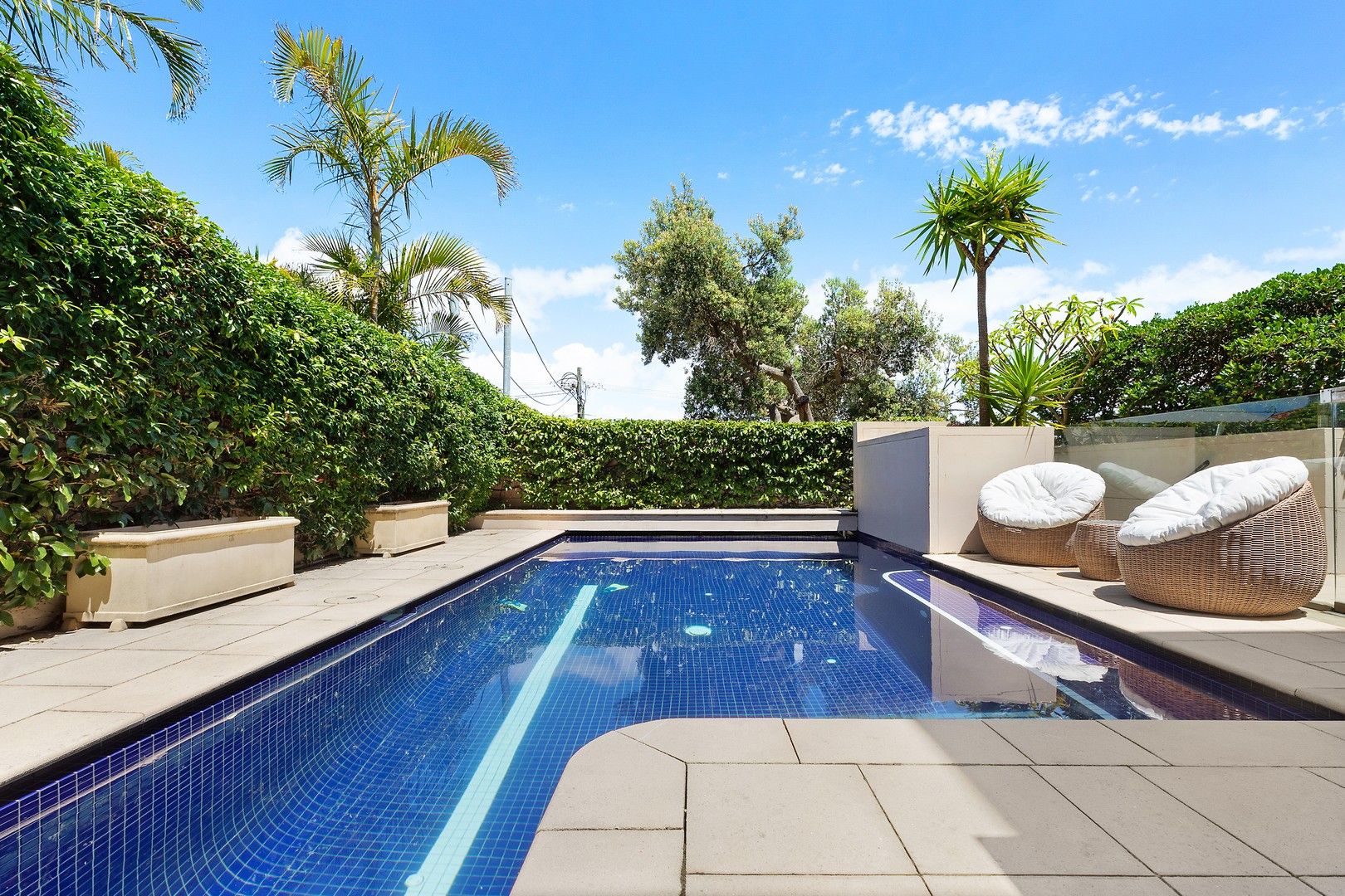 4 Napier Street, Dover Heights NSW 2030 House For Rent 4,000 Domain