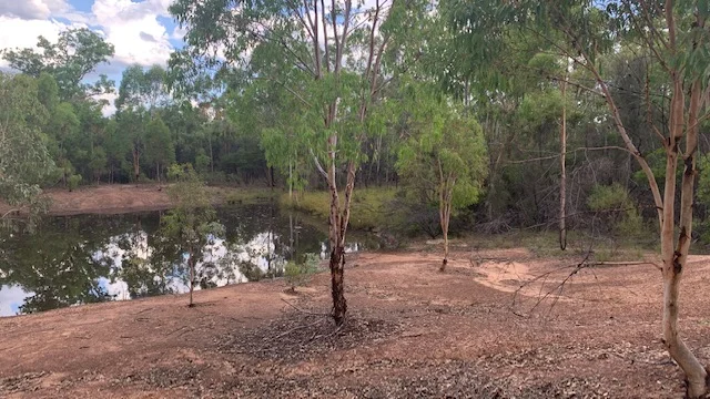 Image 11